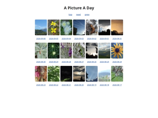 pages/grids/2026-36 screenshot