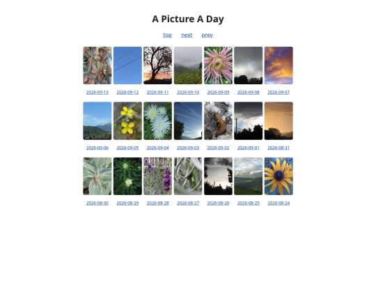 pages/grids/2026-37 screenshot