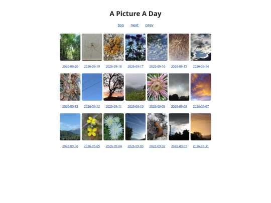 pages/grids/2026-38 screenshot