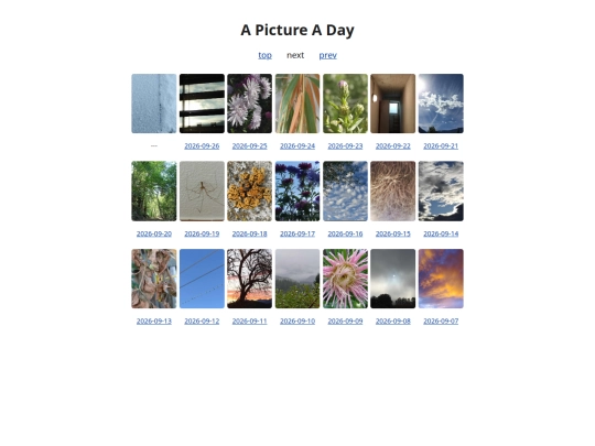 pages/grids/2026-39 screenshot