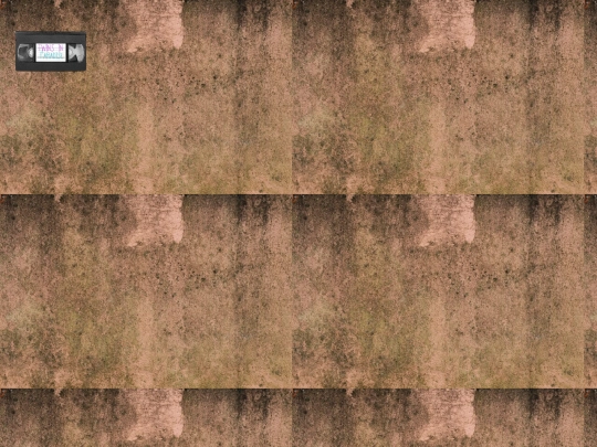 twin-para screenshot