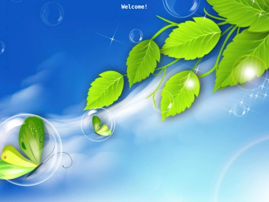 web screenshot