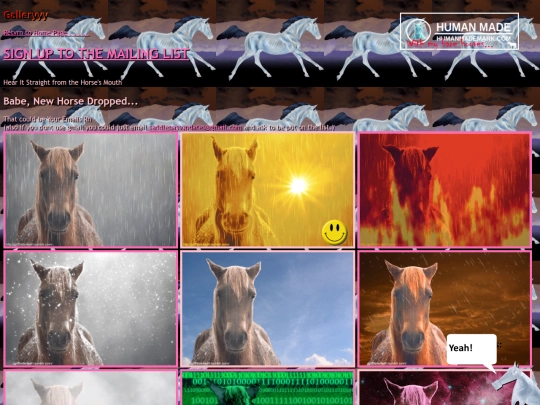 gallery screenshot