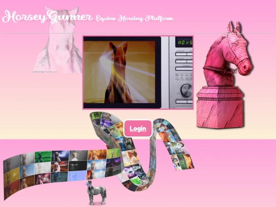 horsey-gunner.com screenshot