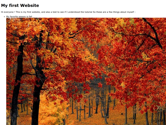firstwebsite screenshot