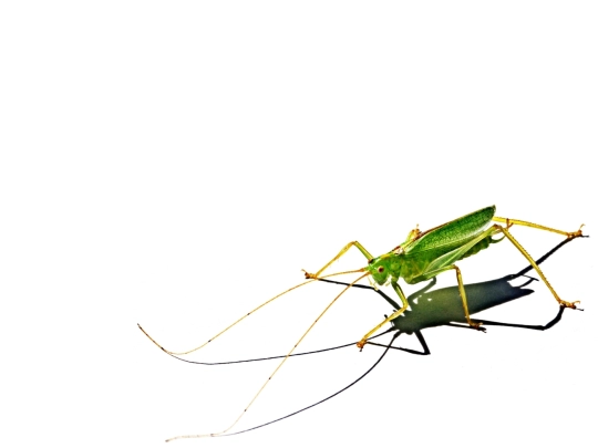 test3 screenshot