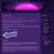 The web site of espritcurieux avatar