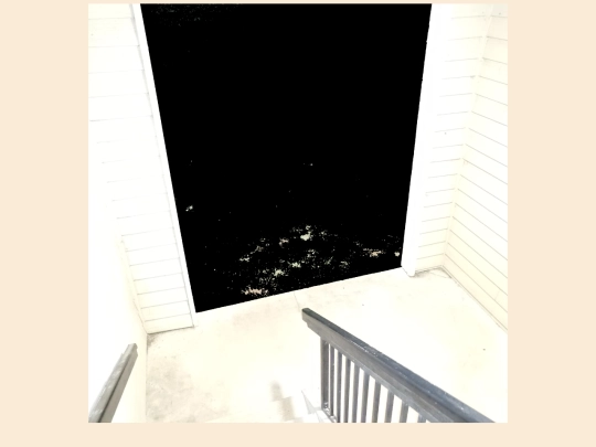 slop11 screenshot