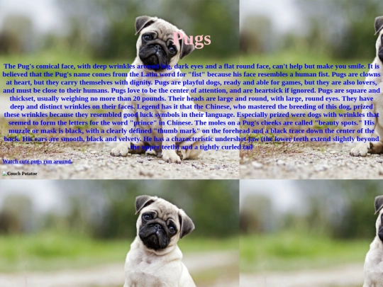 website1 screenshot