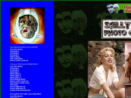 sallytodd screenshot