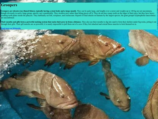 agrupaalosmeros screenshot