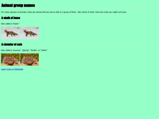animalesaliados screenshot