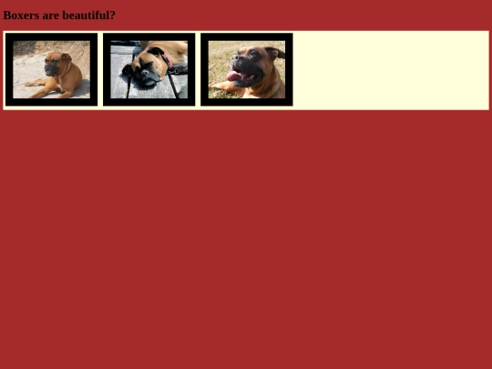 elmodeloboxer screenshot
