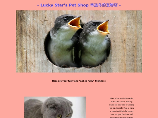 Web screenshot