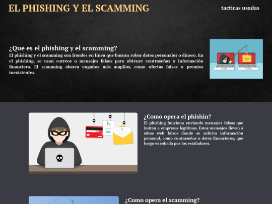 Pagina web del Phishing y scamming screenshot