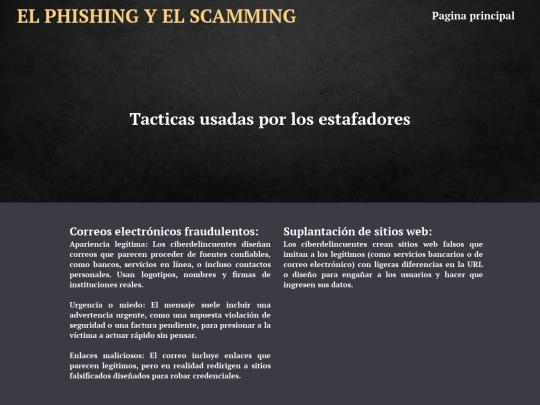 Pagina web del Phishing y scamming/tacticas_usadas screenshot