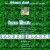 The website of plantdad avatar