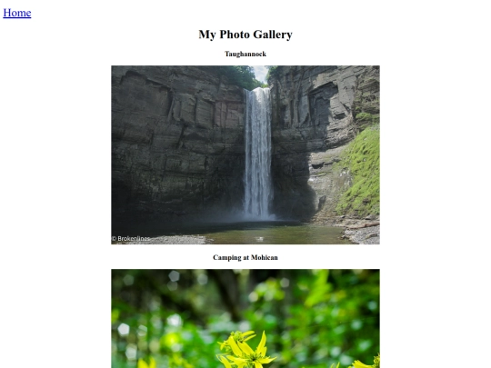 gallery screenshot