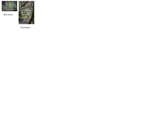test screenshot