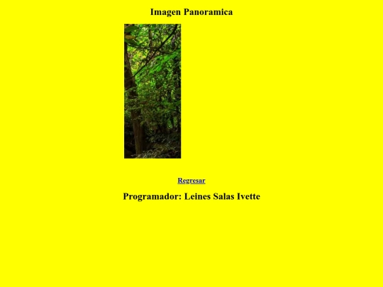 Canvas/panorama screenshot