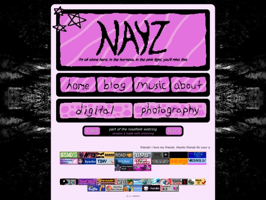 portfolio screenshot