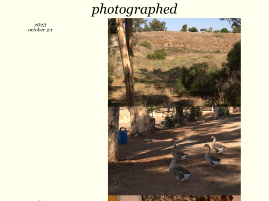 photographed/2023-10 screenshot