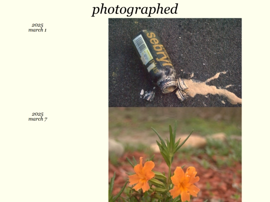 photographed/2025-03 screenshot