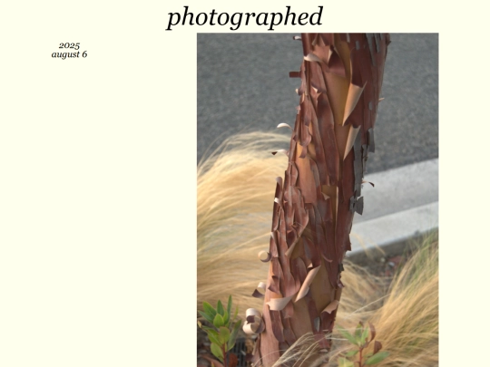 photographed/2025-08 screenshot