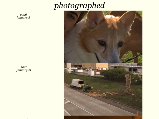 photographed/2026-01 screenshot
