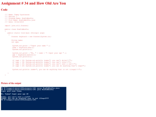 intro/IfStatements/34/HowOldAreYou screenshot