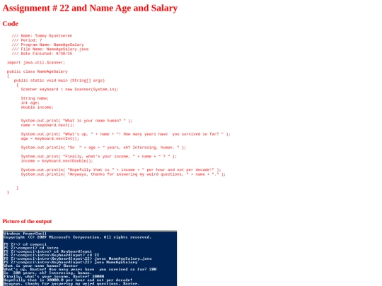 intro/KeyboardInput/22/NameAgeSalary screenshot