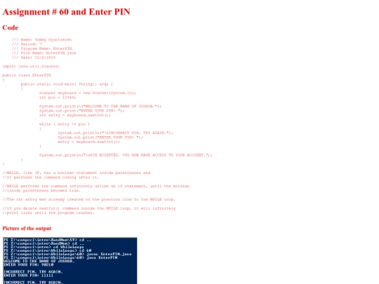 intro/WhileLoops/60/EnterPIN screenshot