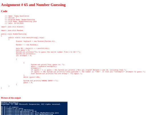 intro/WhileLoops/65/NumberGuessing screenshot