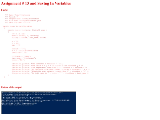 intro/variables/13/SavingInVariables screenshot