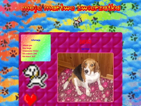 diego screenshot