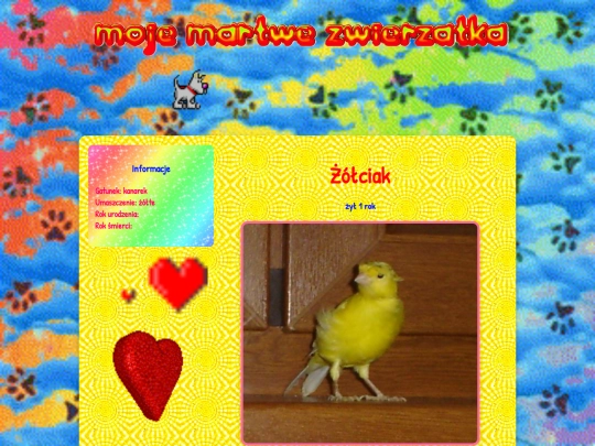 zolciak screenshot