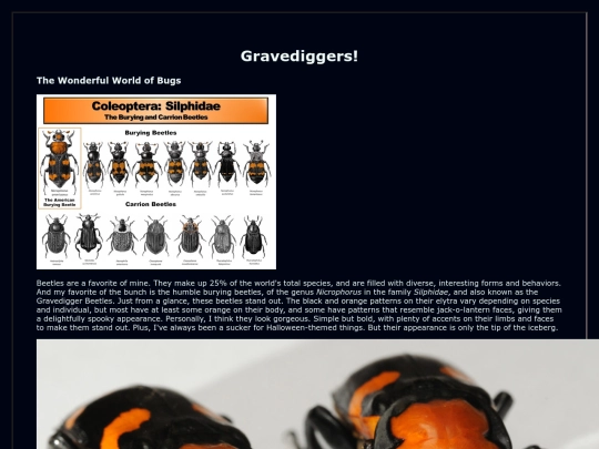 burybeetle screenshot