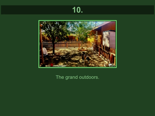 oxygen screenshot