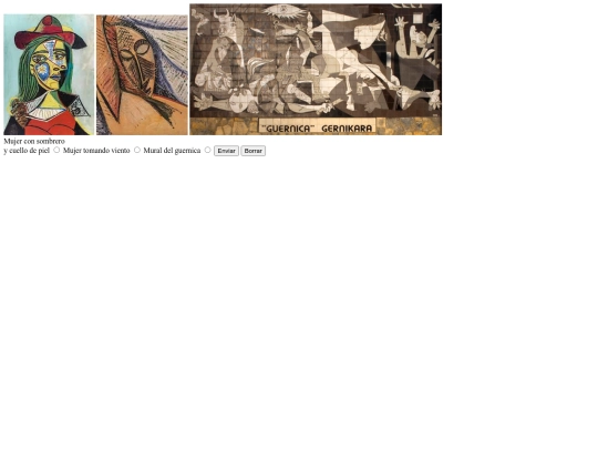 ejercicio_picasso/formulario_picasso screenshot