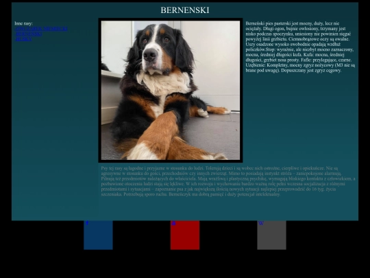 folderpsy/bernenski screenshot