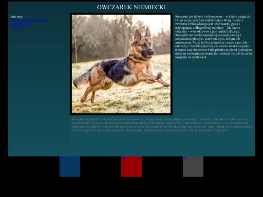 folderpsy/owczarek screenshot