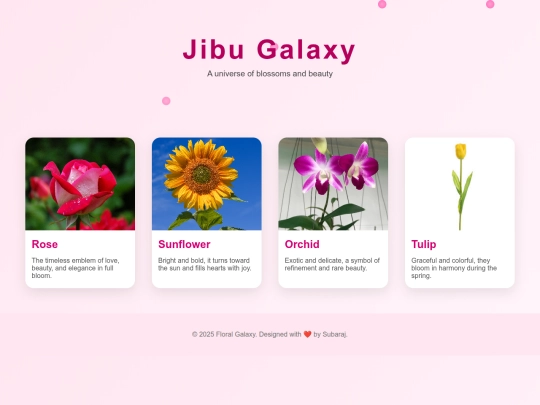 web/responsive screenshot