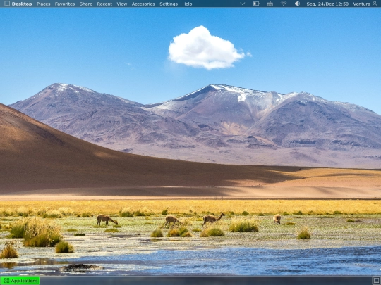 Desktop screenshot