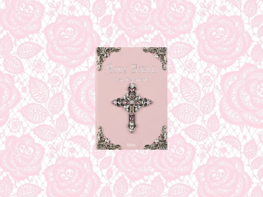 diary screenshot