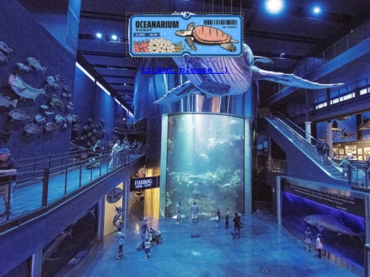 aquariumentrance screenshot