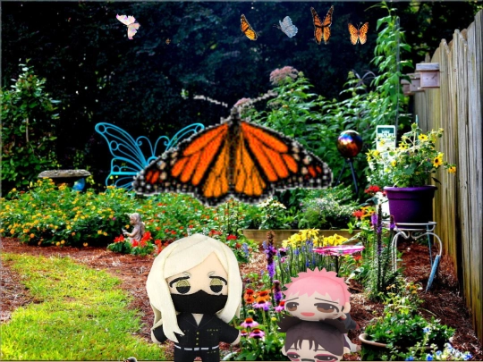 butterflygarden screenshot
