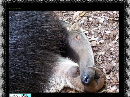 anteater screenshot