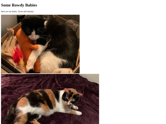 cats screenshot