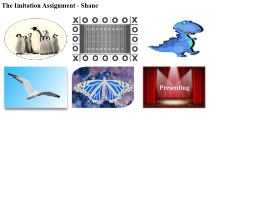 ImitationAssignment screenshot