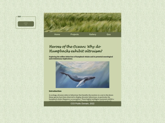 Pages/reviews/humpback screenshot